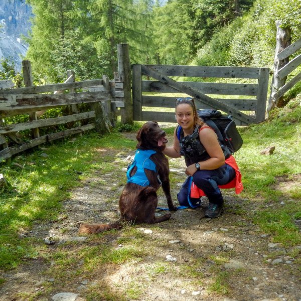 Flatcoated retriever